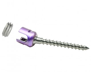 Crescent Open Pedicular Polyaxial Screw
