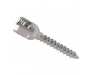 Crescent Posterior Monoaxial Screw