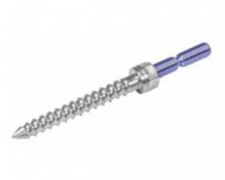 Crescent Hemispherical Polyaxial Screw